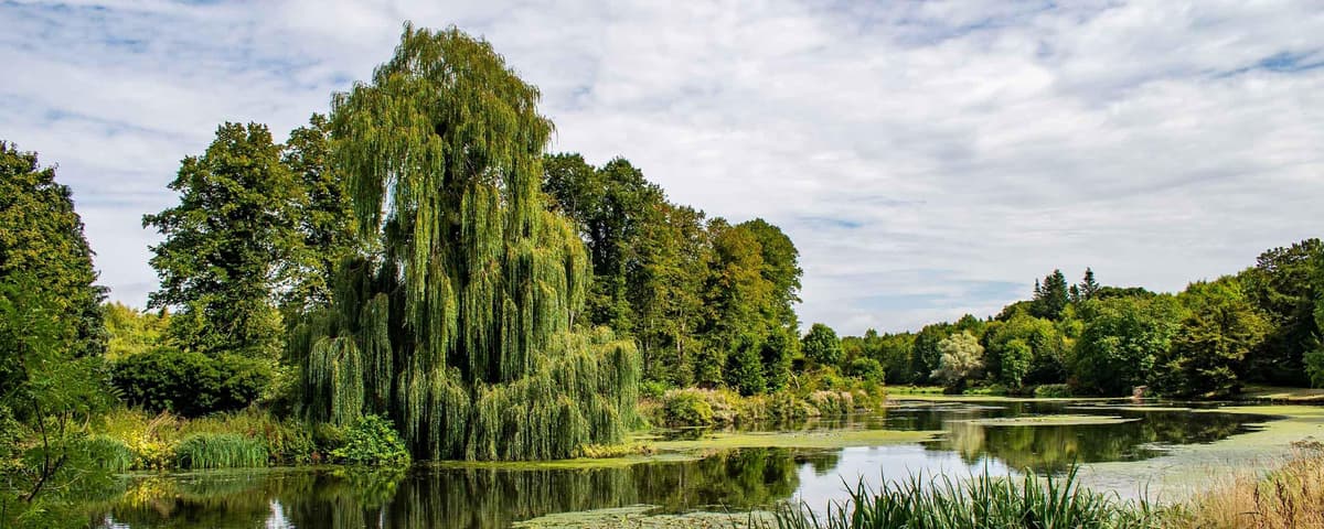 E.H. Crouch Funeral Directors